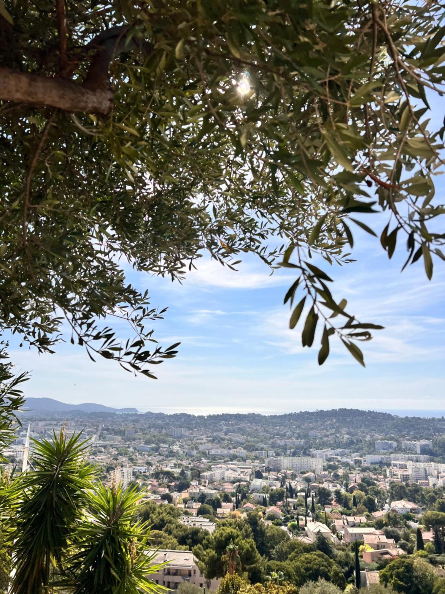 Appartement Avec Vue Mer Panoramique Toulon Exterior photo